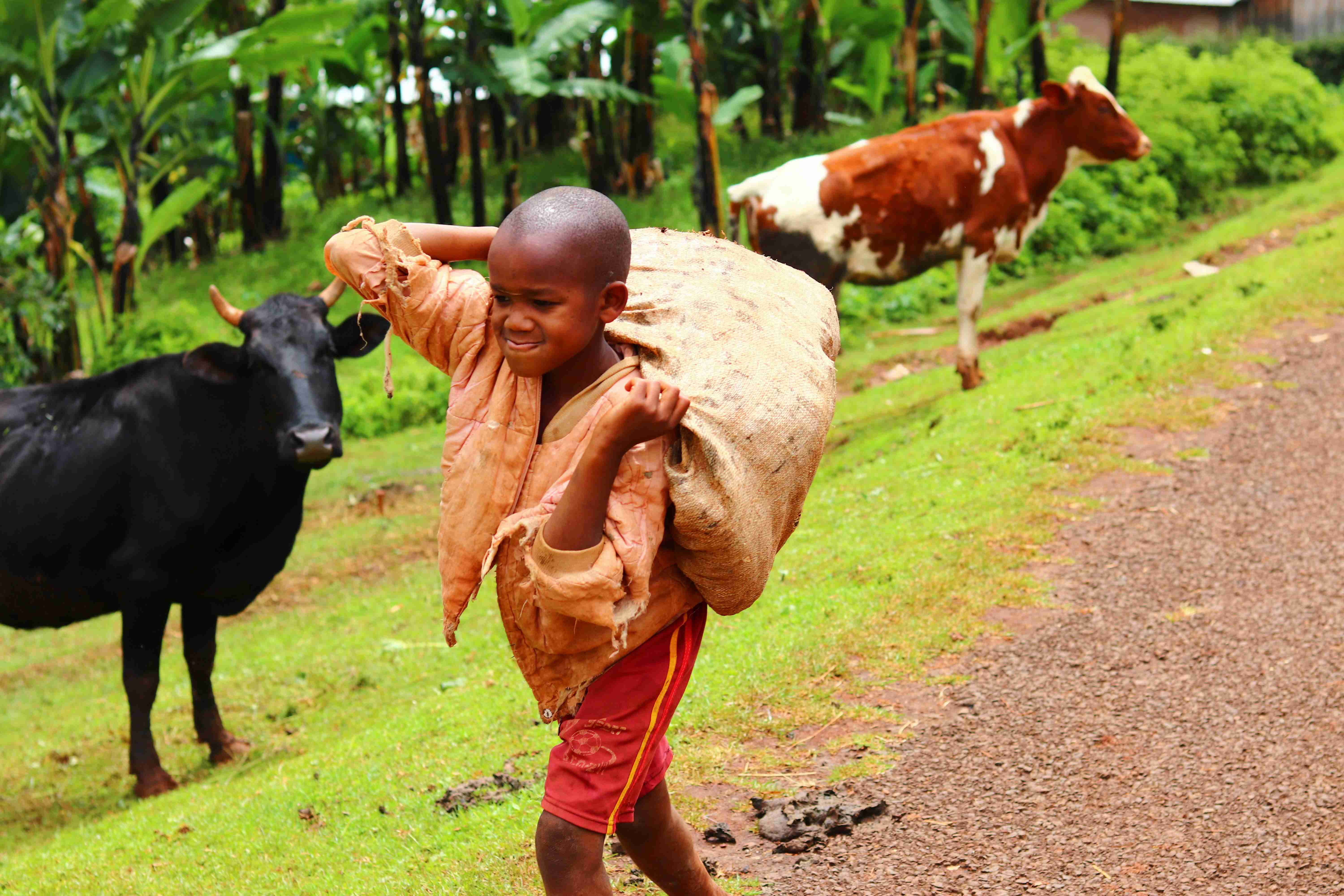 Join Our Ecosystem for Change